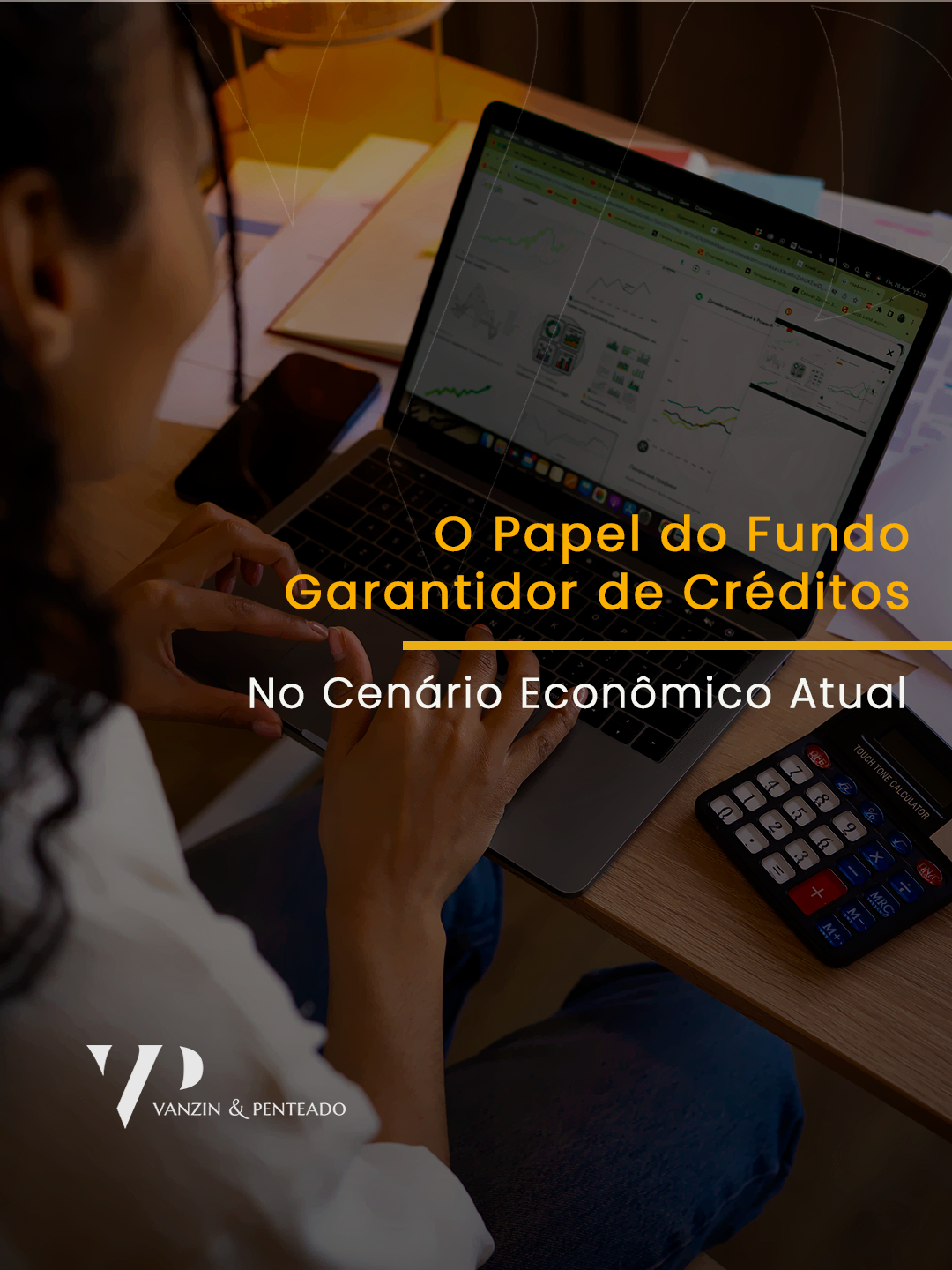 O Papel do Fundo Garantidor de Cr&eacute;ditos no Cen&aacute;rio Econ&ocirc;mico Atual