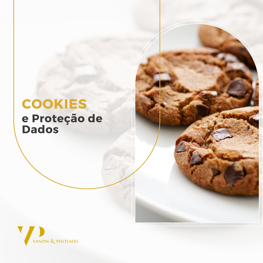 Cookies e Proteção de Dados